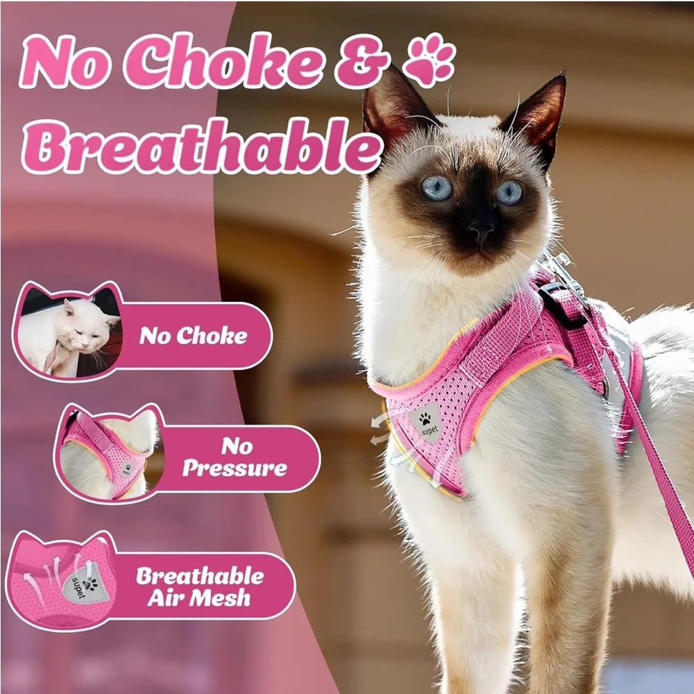 Rabbitgoo and Supet bundle! Small Cat and Dog harness set